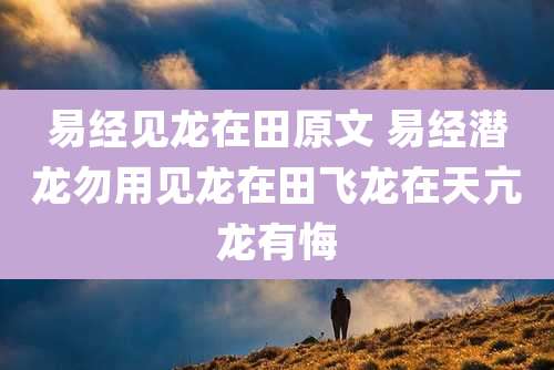 易经见龙在田原文 易经潜龙勿用见龙在田飞龙在天亢龙有悔