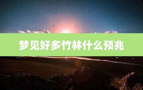 梦见好多竹林什么预兆