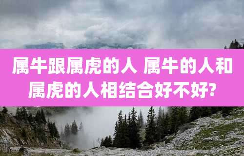属牛跟属虎的人 属牛的人和属虎的人相结合好不好?