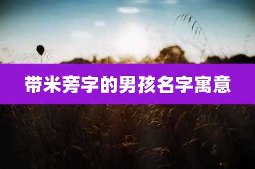 带米旁字的男孩名字寓意