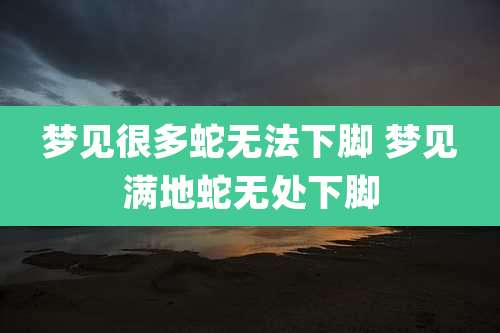 梦见很多蛇无法下脚 梦见满地蛇无处下脚
