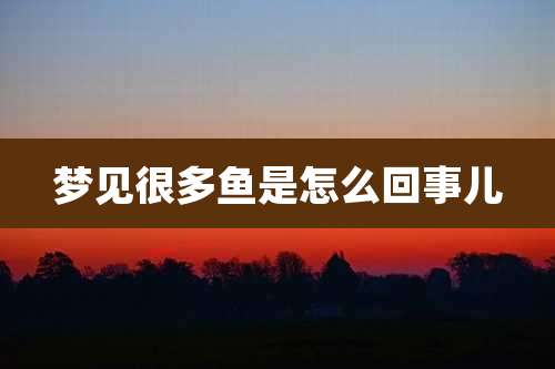 梦见很多鱼是怎么回事儿