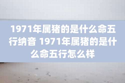 1971年属猪的是什么命五行纳音 1971年属猪的是什么命五行怎么样