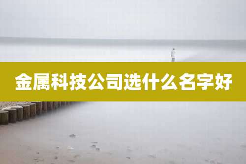 金属科技公司选什么名字好