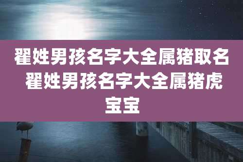 翟姓男孩名字大全属猪取名 翟姓男孩名字大全属猪虎宝宝