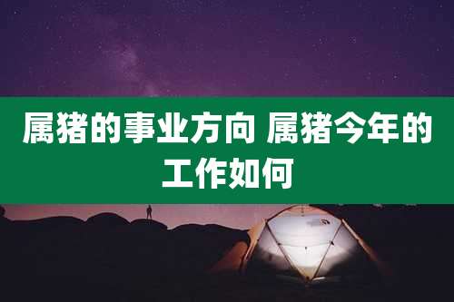 属猪的事业方向 属猪今年的工作如何