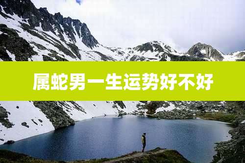 属蛇男一生运势好不好