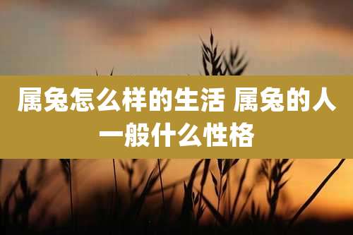属兔怎么样的生活 属兔的人一般什么性格