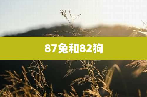 87兔和82狗