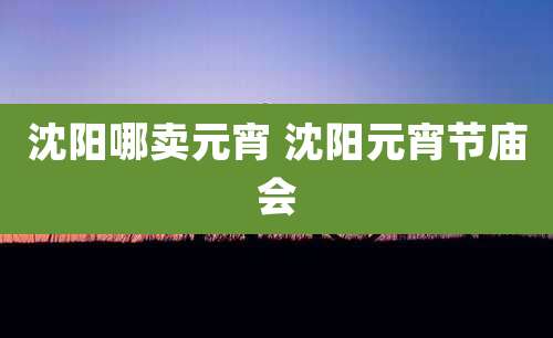 沈阳哪卖元宵 沈阳元宵节庙会