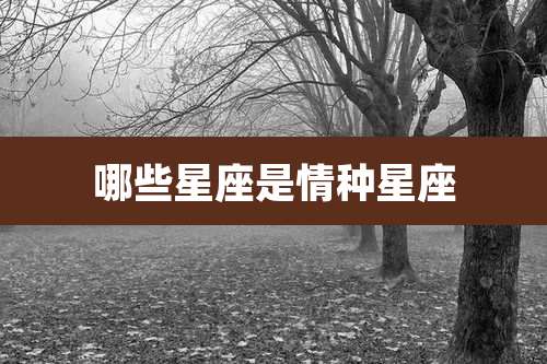 哪些星座是情种星座