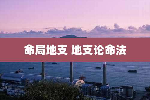 命局地支 地支论命法