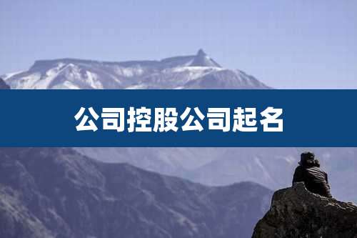 公司控股公司起名