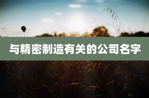 与精密制造有关的公司名字