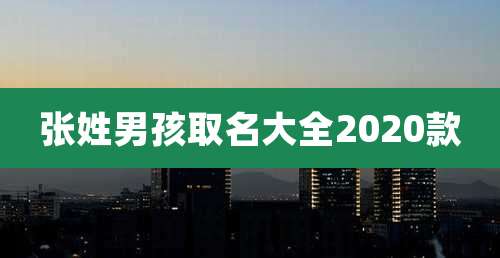 张姓男孩取名大全2020款