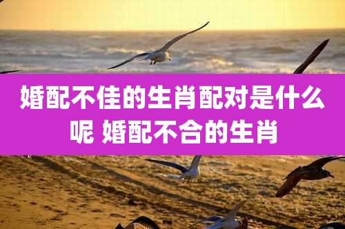 婚配不佳的生肖配对是什么呢 婚配不合的生肖