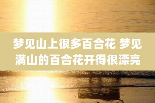 梦见山上很多百合花 梦见满山的百合花开得很漂亮