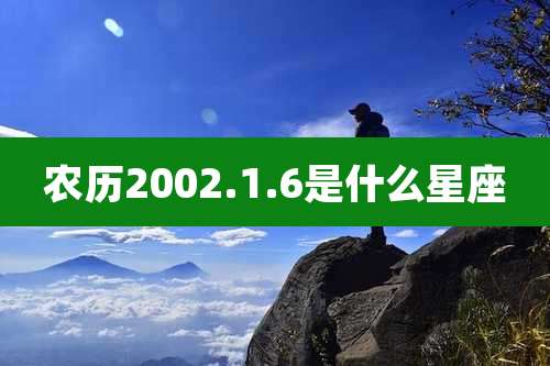 农历2002.1.6是什么星座