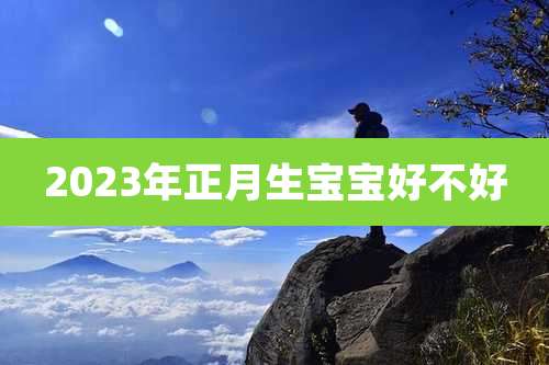 2023年正月生宝宝好不好