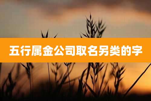 五行属金公司取名另类的字