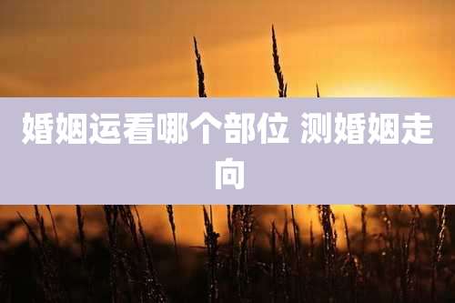 婚姻运看哪个部位 测婚姻走向