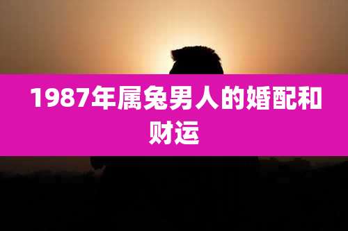 1987年属兔男人的婚配和财运