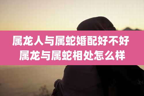 属龙人与属蛇婚配好不好 属龙与属蛇相处怎么样