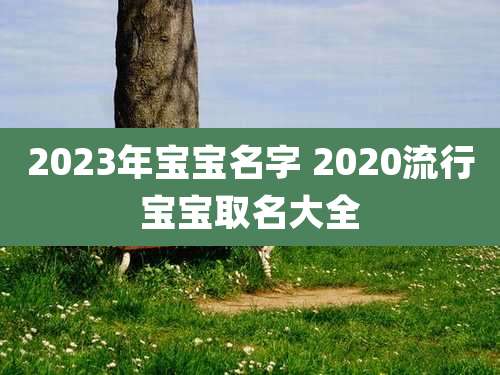 2023年宝宝名字 2020流行宝宝取名大全