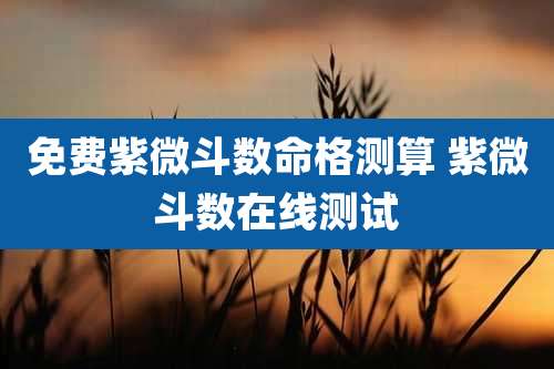免费紫微斗数命格测算 紫微斗数在线测试