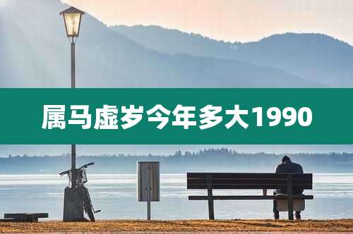 属马虚岁今年多大1990