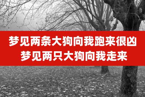 梦见两条大狗向我跑来很凶 梦见两只大狗向我走来