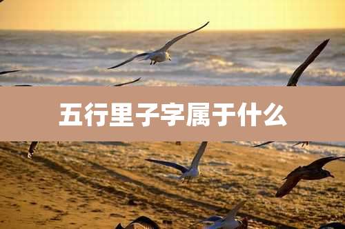 五行里子字属于什么
