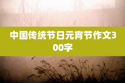中国传统节日元宵节作文300字