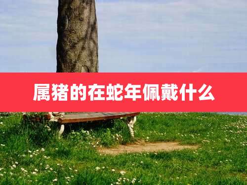 属猪的在蛇年佩戴什么