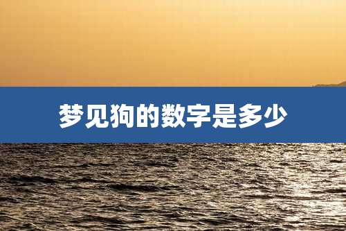 梦见狗的数字是多少