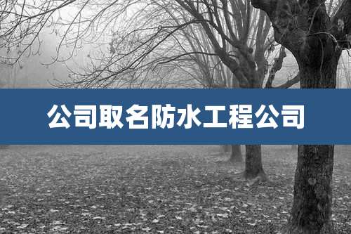 公司取名防水工程公司
