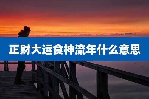 正财大运食神流年什么意思