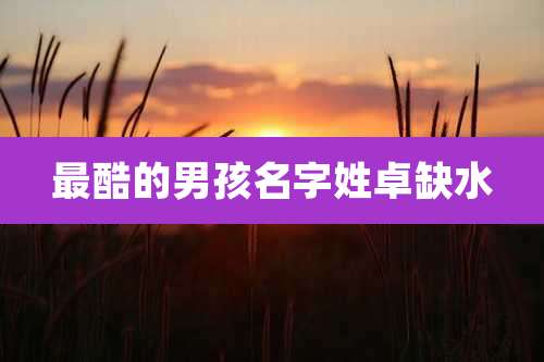 最酷的男孩名字姓卓缺水