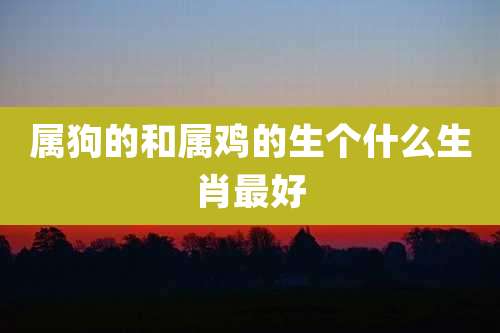 属狗的和属鸡的生个什么生肖最好