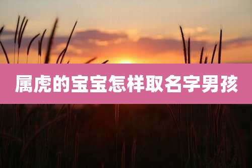 属虎的宝宝怎样取名字男孩