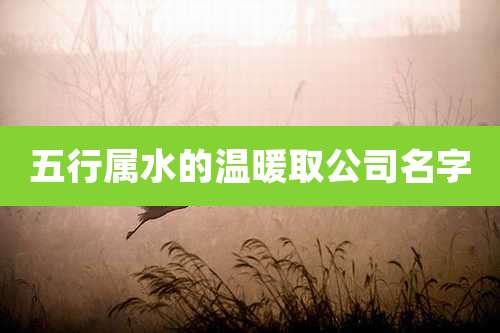 五行属水的温暖取公司名字