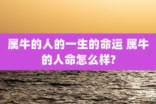 属牛的人的一生的命运 属牛的人命怎么样?