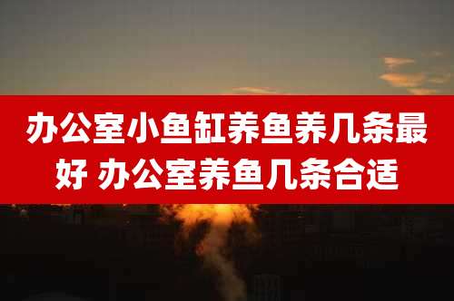 办公室小鱼缸养鱼养几条最好 办公室养鱼几条合适