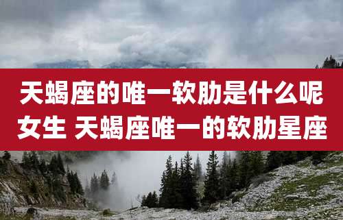 天蝎座的唯一软肋是什么呢女生 天蝎座唯一的软肋星座