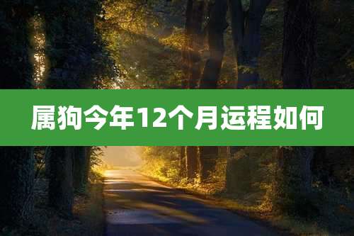 属狗今年12个月运程如何