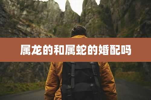 属龙的和属蛇的婚配吗