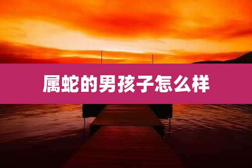 属蛇的男孩子怎么样