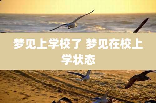 梦见上学校了 梦见在校上学状态