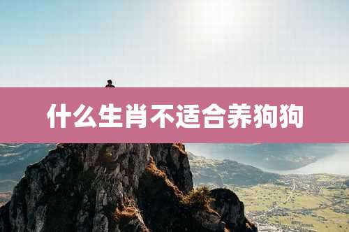 什么生肖不适合养狗狗