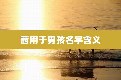 茜用于男孩名字含义